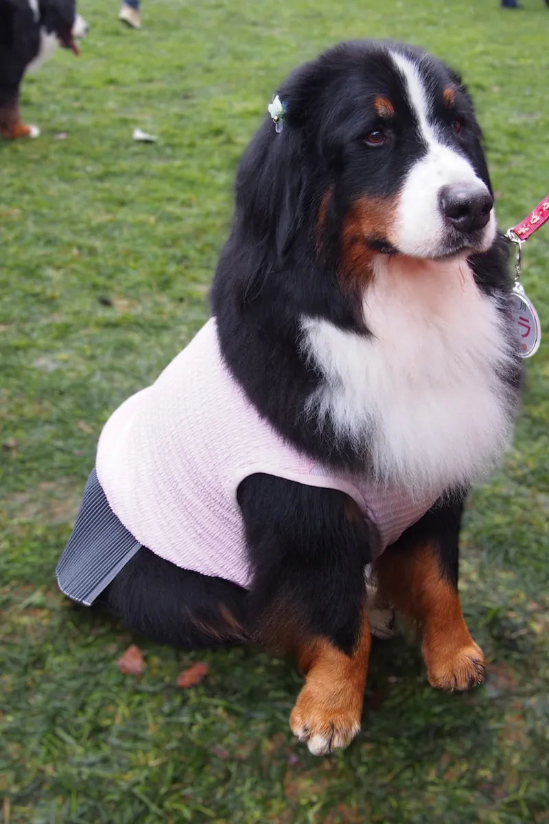 DOG WEAR - マジョリカプリーツチュニック