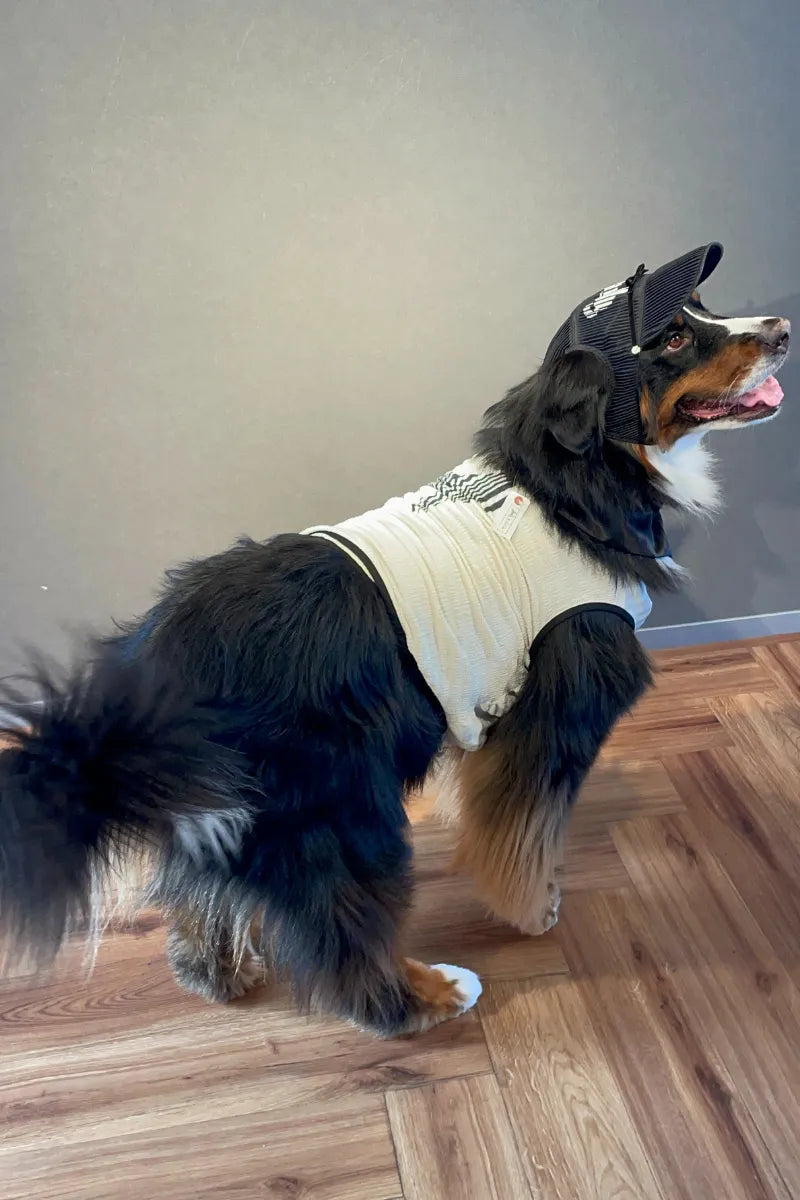 DOG WEAR - マジョリカプリーツタンクトップ