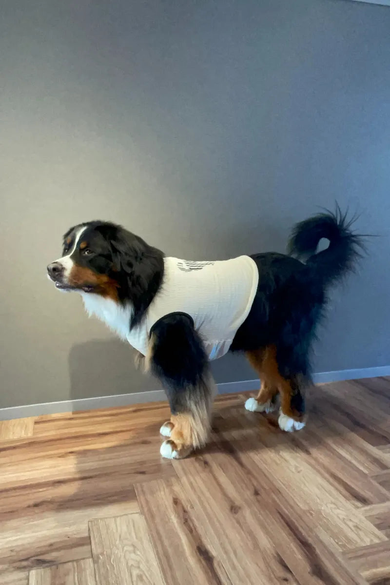 DOG WEAR - マジョリカプリーツタンクトップ