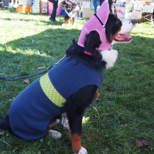 DOG WEAR - モフモフプリーツロンパース 2