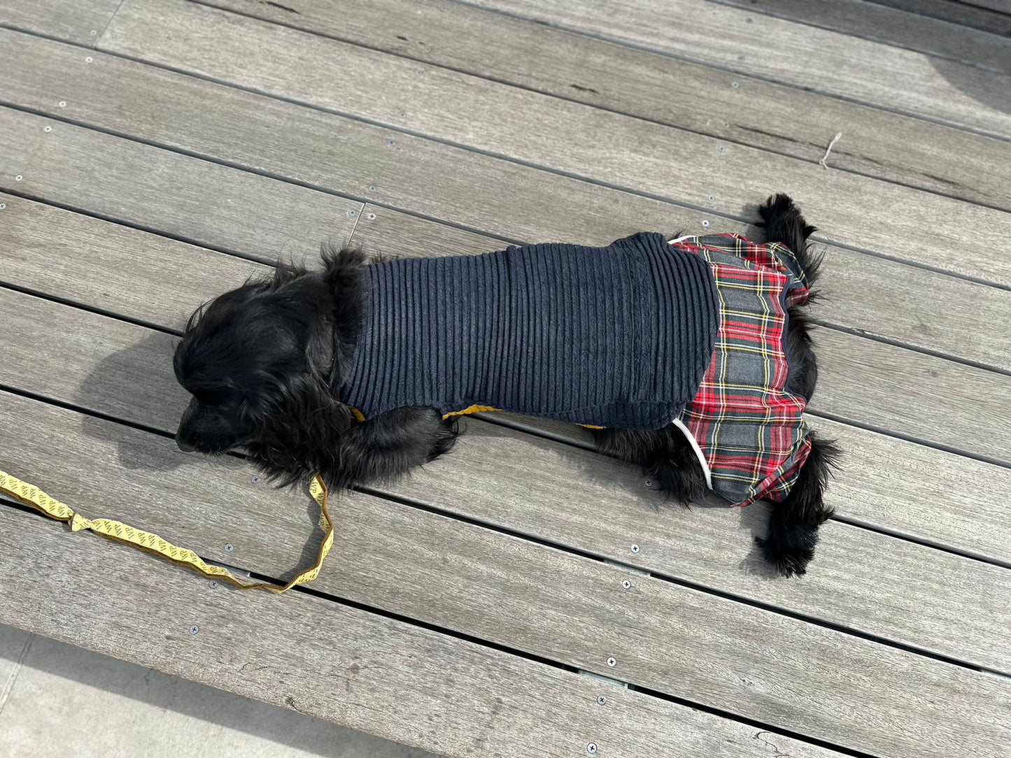 DOG WEAR - モフモフプリーツタンクトップ