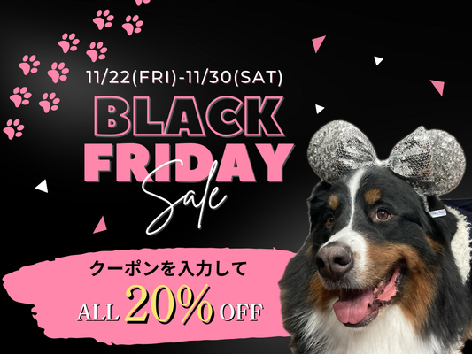 BLACK FRIDAY<終了しました>