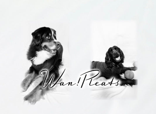 ABOUT Wan!Pleats