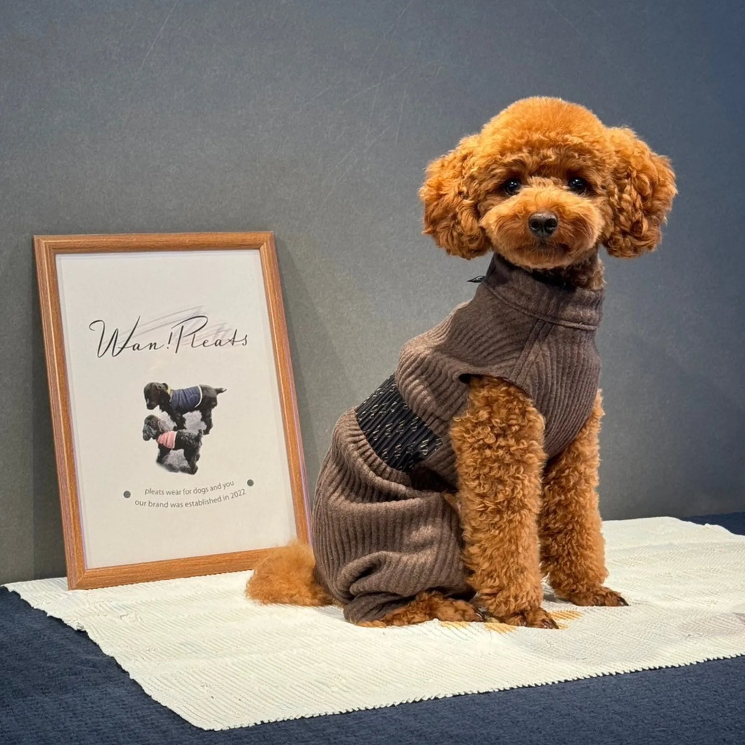 秋冬シーズンにぴったりのモフモフした生地を使用したウェアです。超小型犬〜超大型犬まで対応しています。