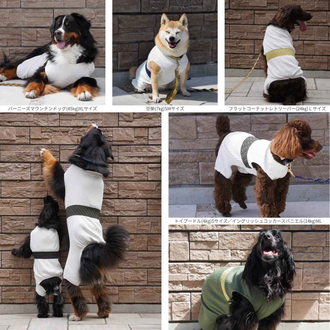 メッシュプリーツロンパース|超小型犬〜中型犬〜大型犬〜超大型犬 メッシュプリーツロンパース|超小型犬〜中型犬〜大型犬〜超大型犬