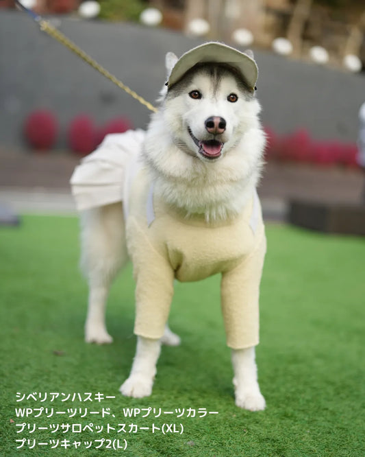 DOG WEAR - プリーツサロペットスカート