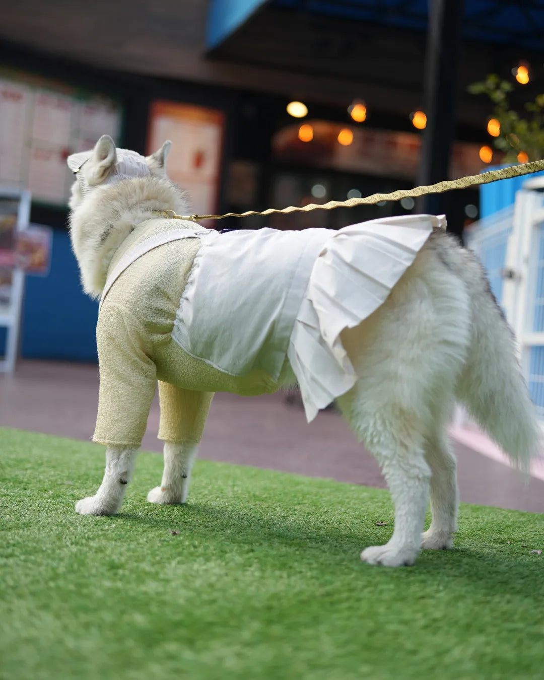 DOG WEAR - プリーツサロペットスカート