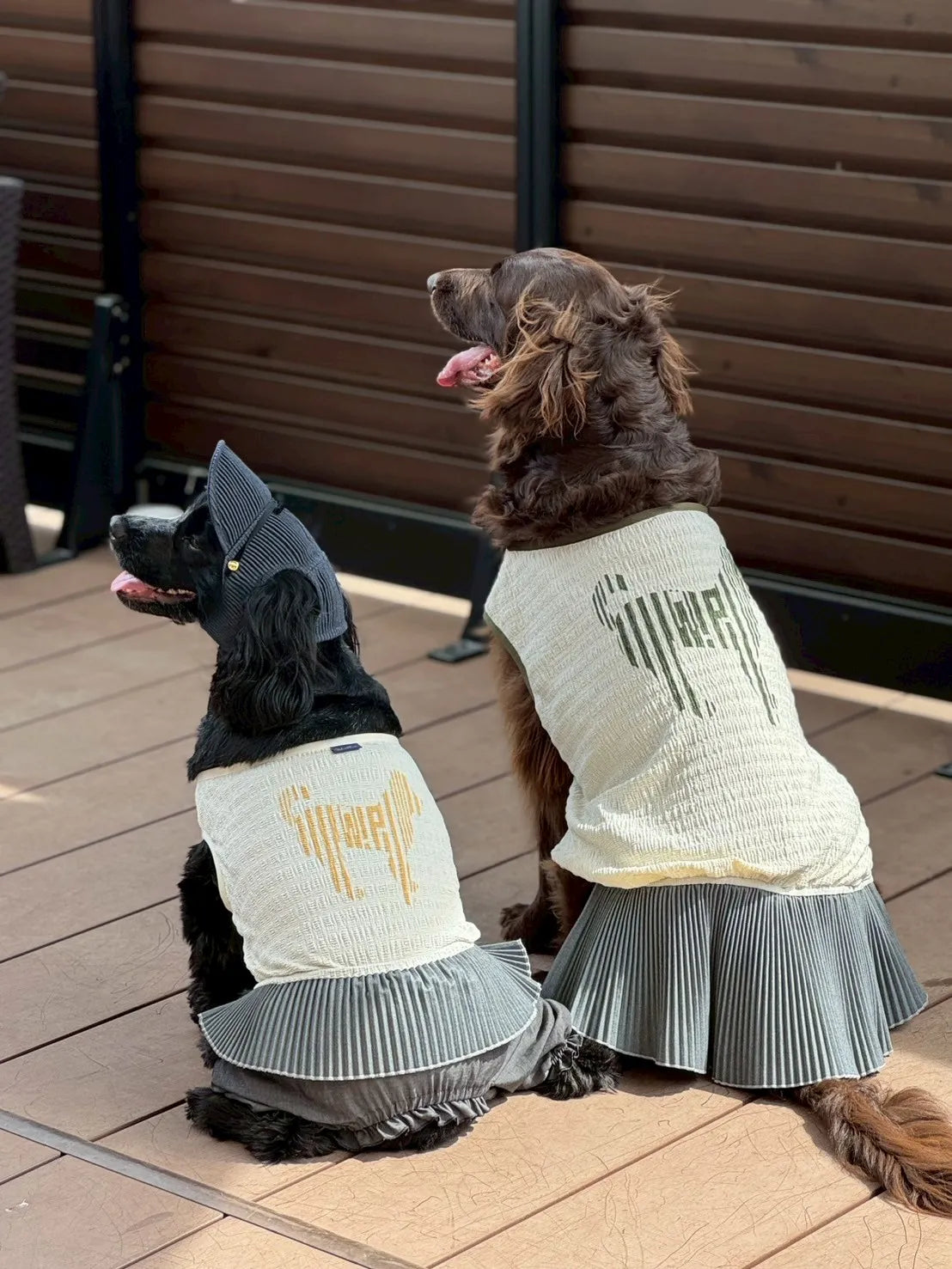 DOG WEAR - マジョリカプリーツオールインワンスカート付き
