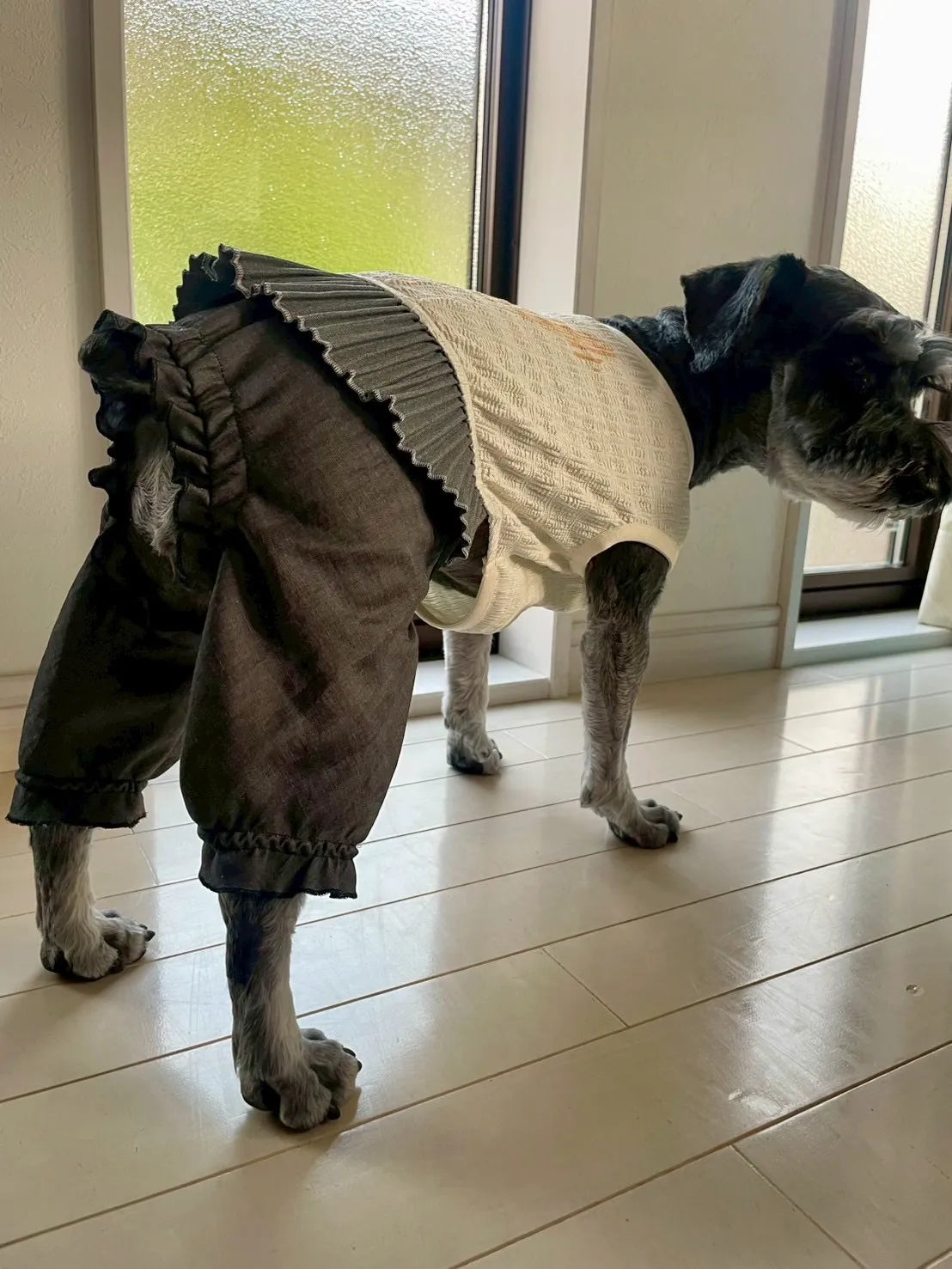 DOG WEAR - マジョリカプリーツオールインワンスカート付き