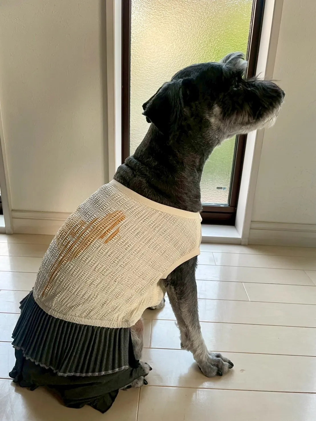 DOG WEAR - マジョリカプリーツオールインワンスカート付き