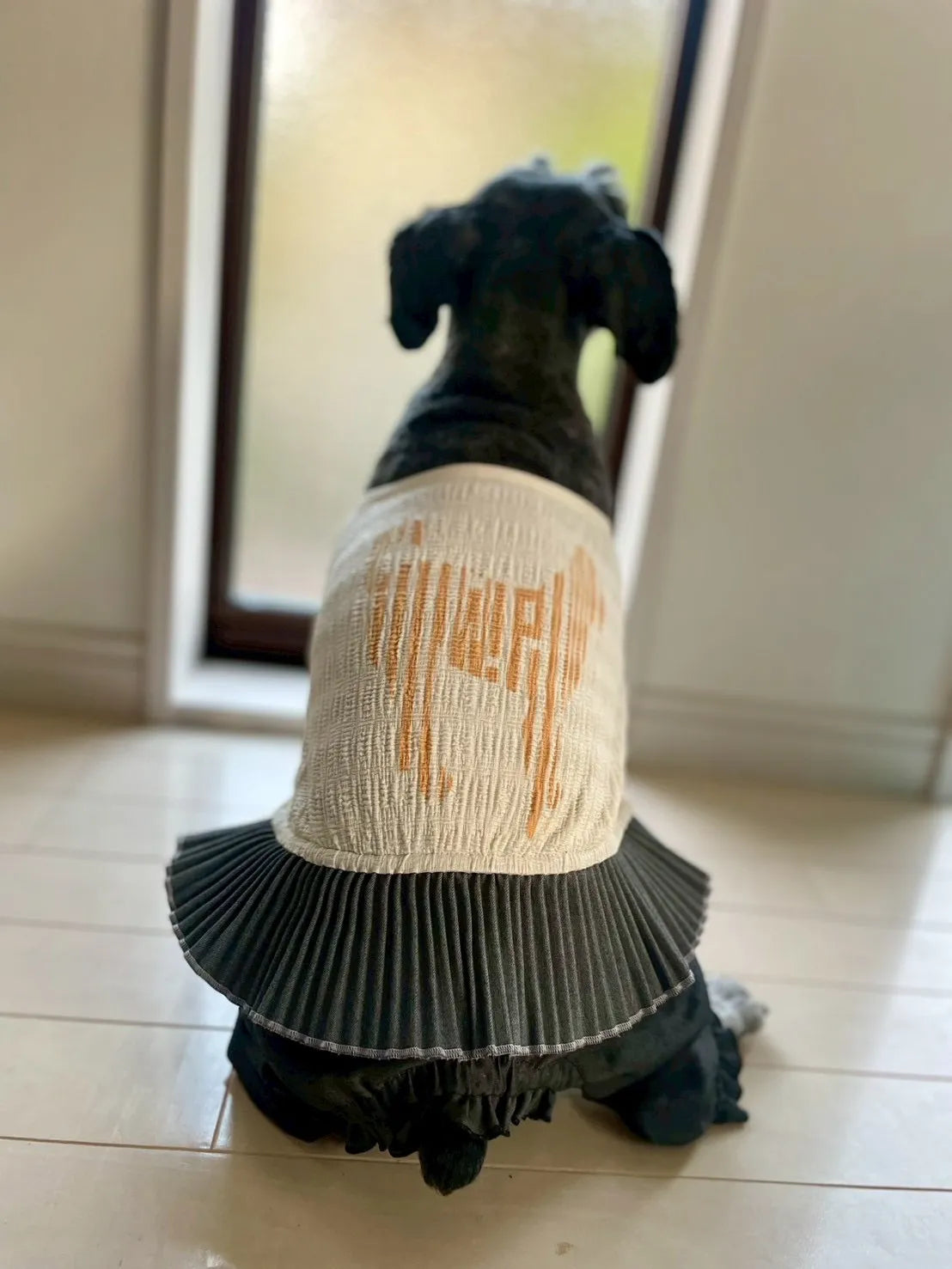 DOG WEAR - マジョリカプリーツオールインワンスカート付き