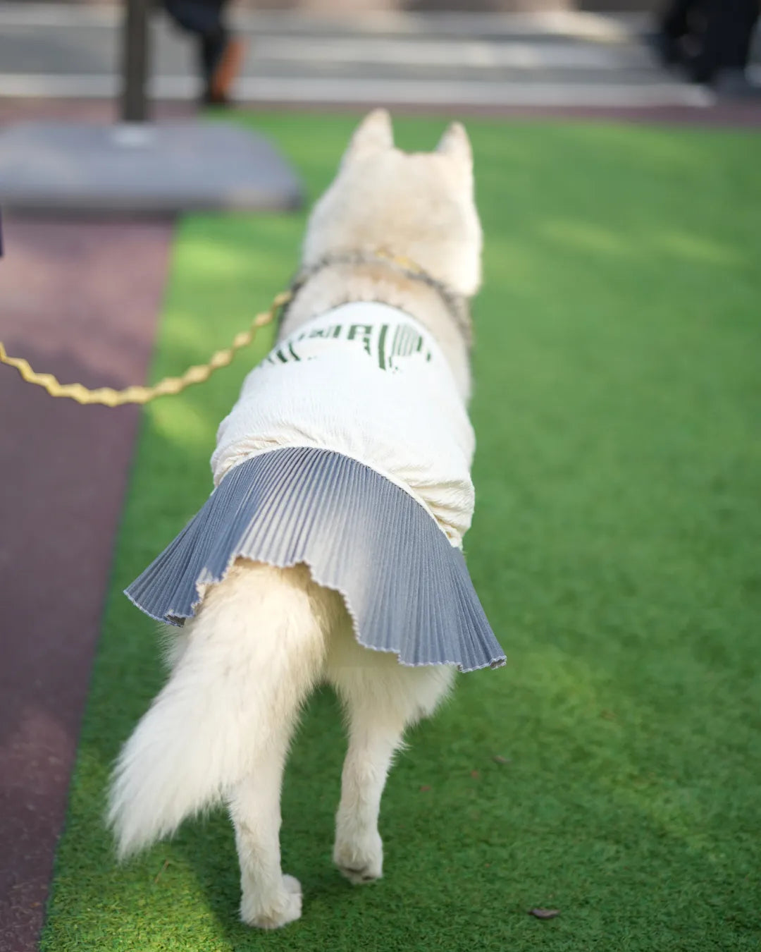 「ゴムのように伸びる！？」"マジョリカプリーツ"による伸縮性によって着せやすい、愛犬にお洋服を着せるのに慣れていないパパ・ママにもやさしいアイテムです。背中にWan!Pleatsの象徴であるバーニーズのシルエットロゴがプリントされています♫