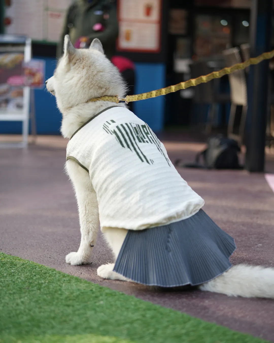 「ゴムのように伸びる！？」"マジョリカプリーツ"による伸縮性によって着せやすい、愛犬にお洋服を着せるのに慣れていないパパ・ママにもやさしいアイテムです。背中にWan!Pleatsの象徴であるバーニーズのシルエットロゴがプリントされています♫