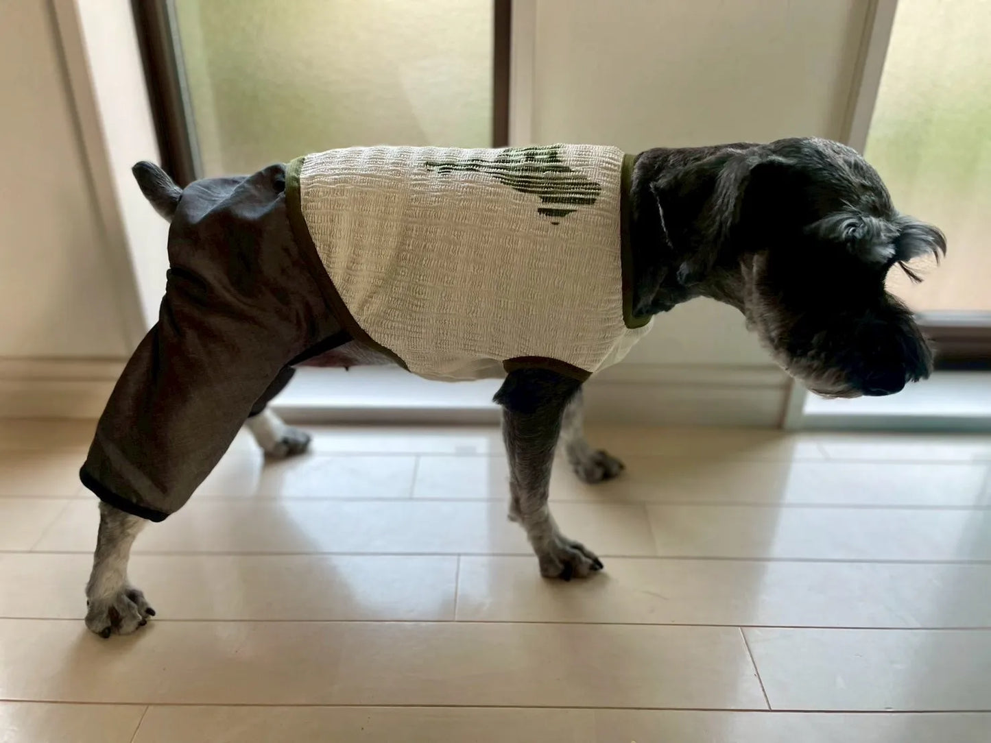DOG WEAR - マジョリカプリーツオールインワン