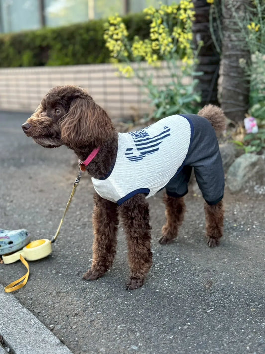 DOG WEAR - マジョリカプリーツオールインワン