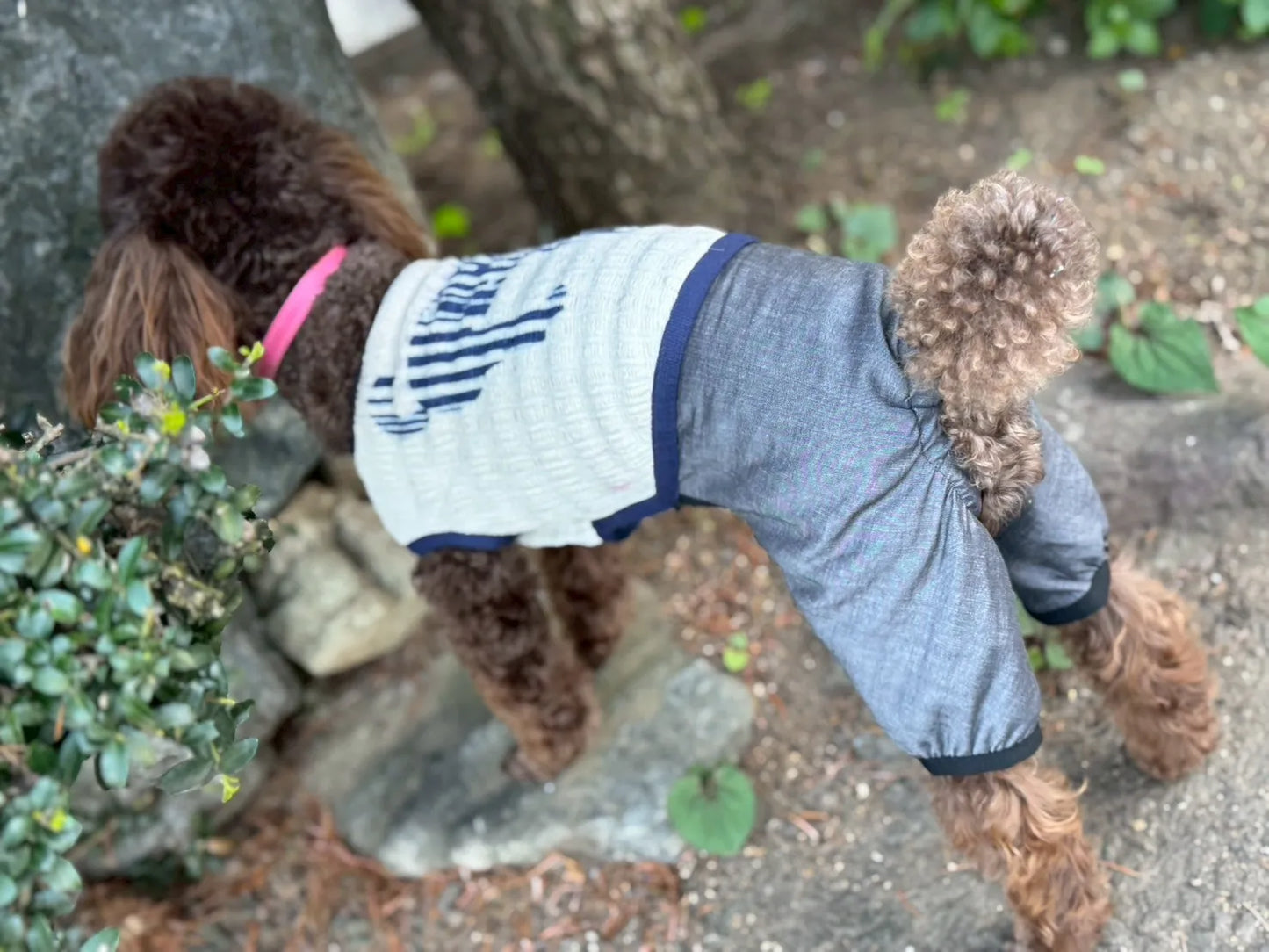 DOG WEAR - マジョリカプリーツオールインワン
