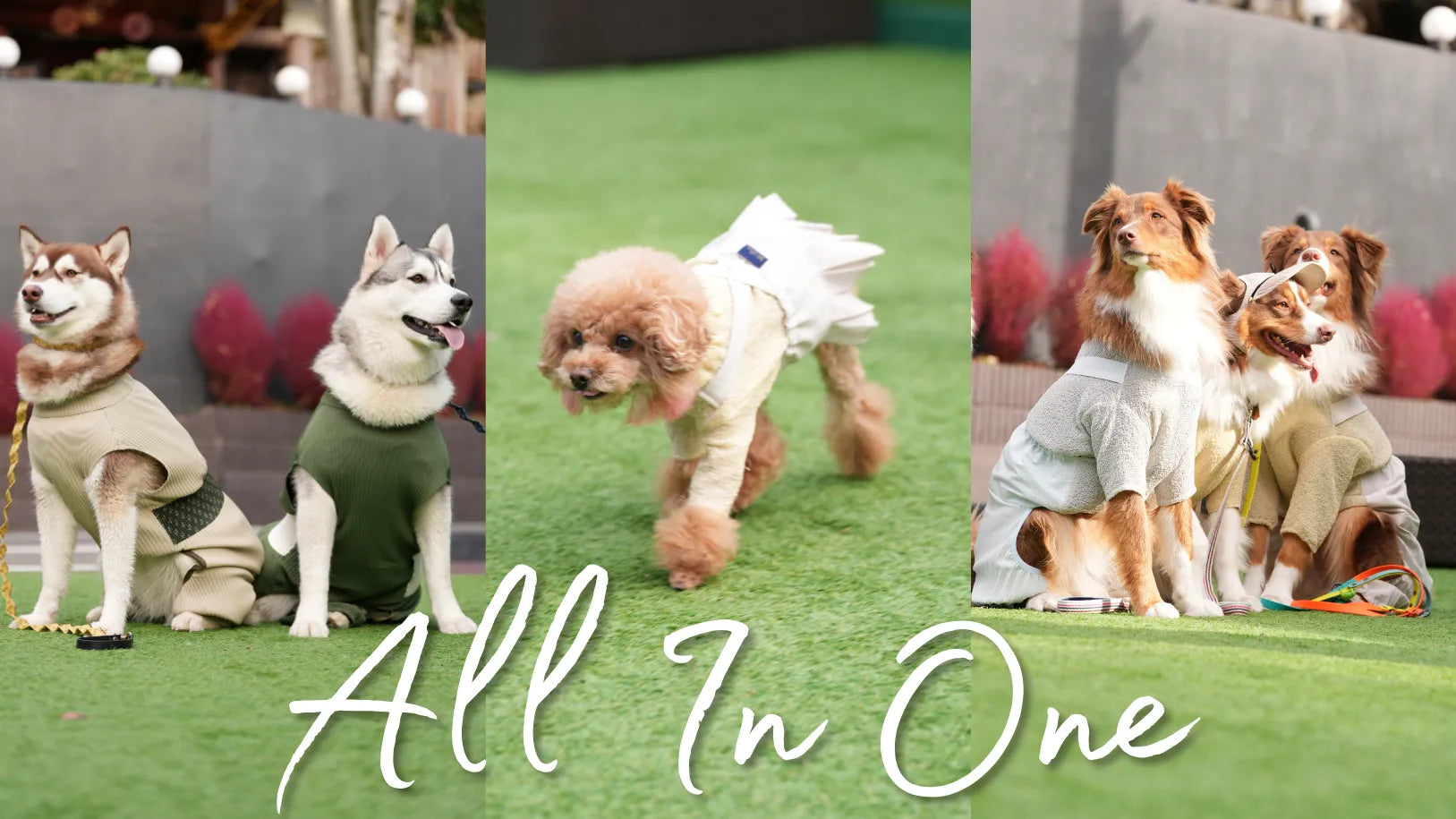 超小型犬から超大型犬までサイズ展開豊富なオールインワン。大定番のロンパース、サロペットスカートやサロペットパンツ等があります。Wan!Pleats/ワン!プリーツは、プリーツ製品専門の縫製工場がプロデュースするドッグウェア(犬服)ブランドです。