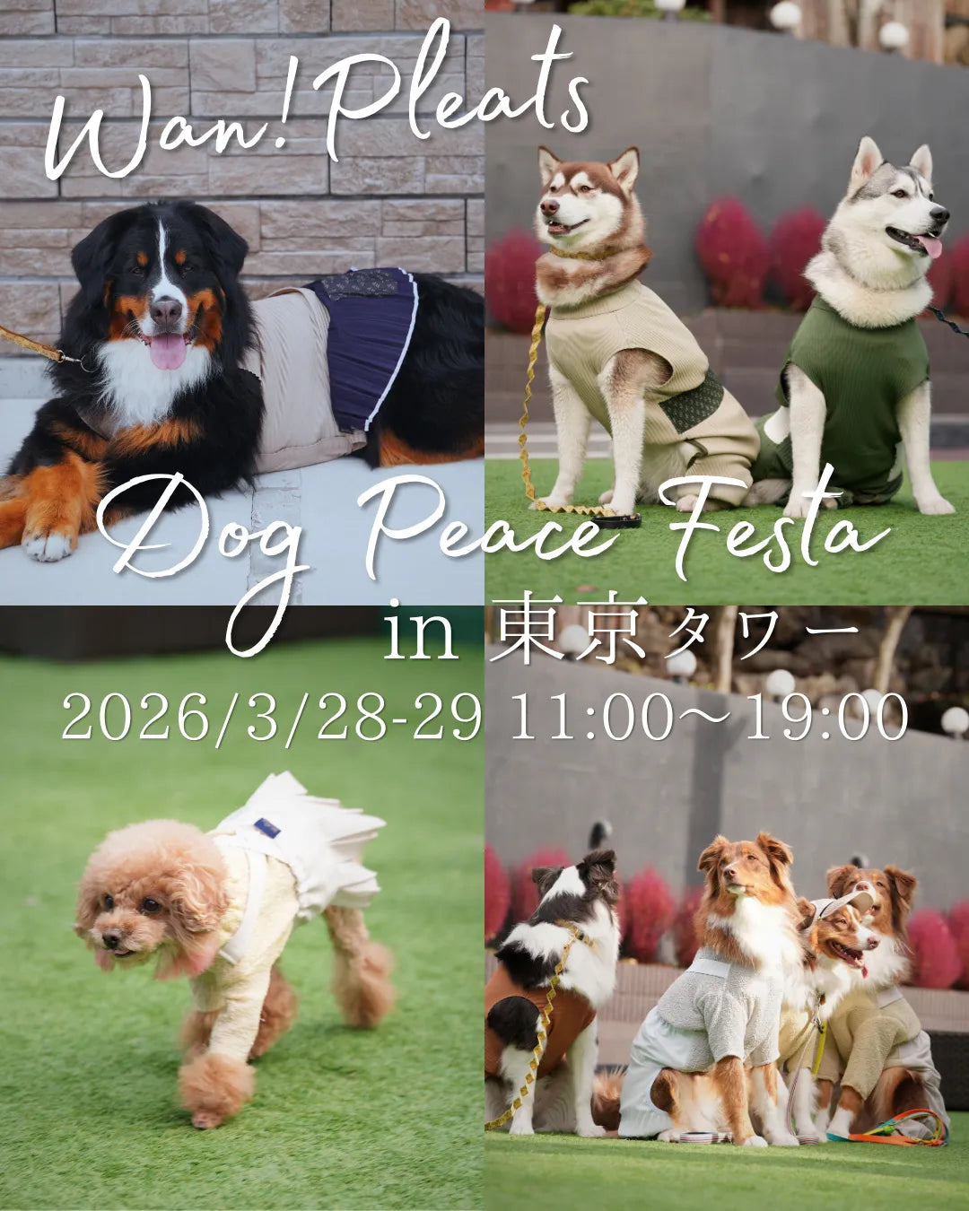 Wan!Pleatsが東京タワーで開催される「人と犬の愛がつながる」をテーマにしたイベントへ参加いたします
