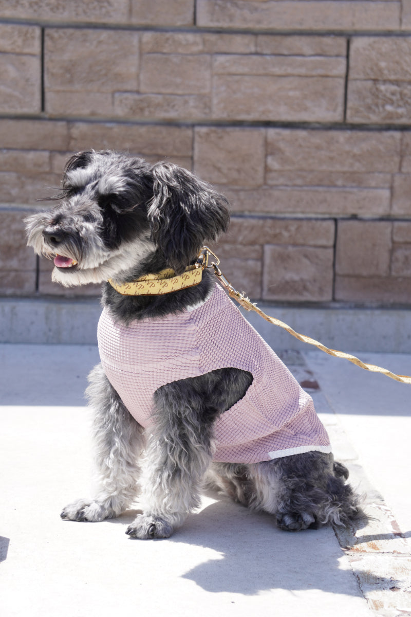 wanpleats(ワンプリーツ) 犬服 dogwear ドッグウェア トップス 超大型犬 超小型犬