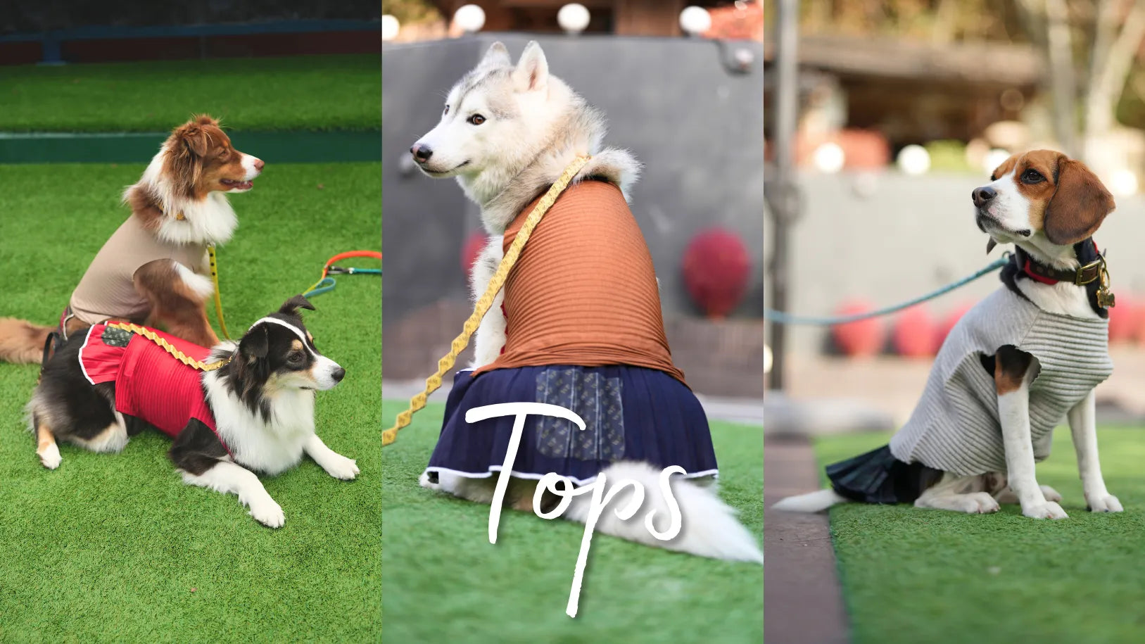 パンツやスカートと組み合わせて着用できるタンクトップや、チュニックを取り揃えています。オールシーズンで使えるリネン風プリーツタンクトップ、秋冬におすすめのモフモフ生地のタンクトップなど季節に合わせておしゃれをお楽しみください。もちろん超小型犬から超大型犬まで着用いただけるサイズ展開がございます！Wan!Pleats/ワン!プリーツは、プリーツ製品専門の縫製工場がプロデュースするドッグウェア(犬服)ブランドです。