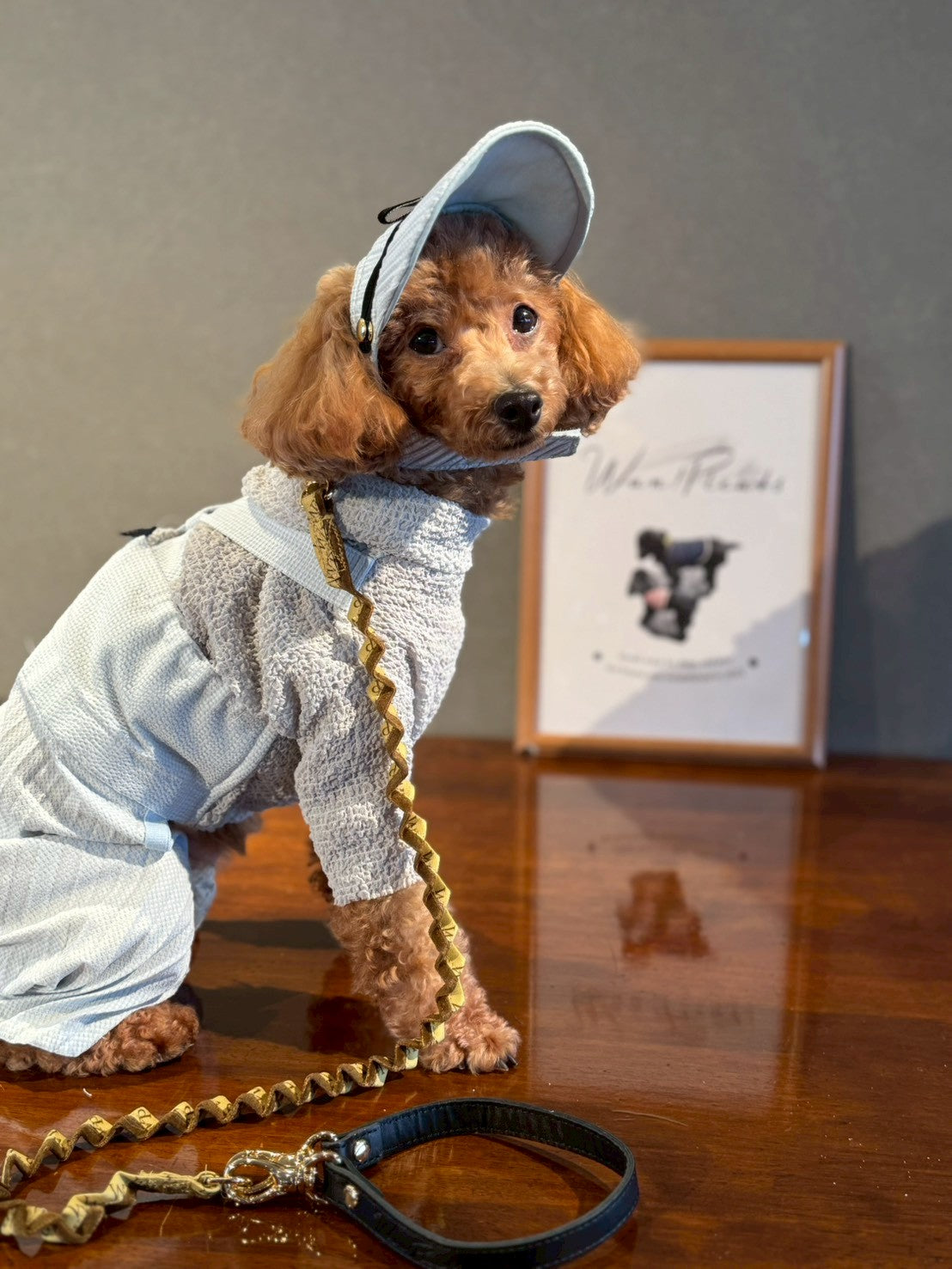 DOG WEAR - アクセサリー｜Wan!Pleats 超小型犬〜超大型犬まで対応の犬