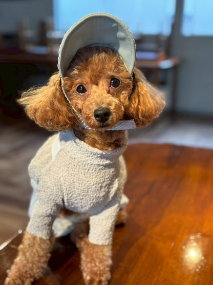 DOG WEAR - プリーツキャップ2