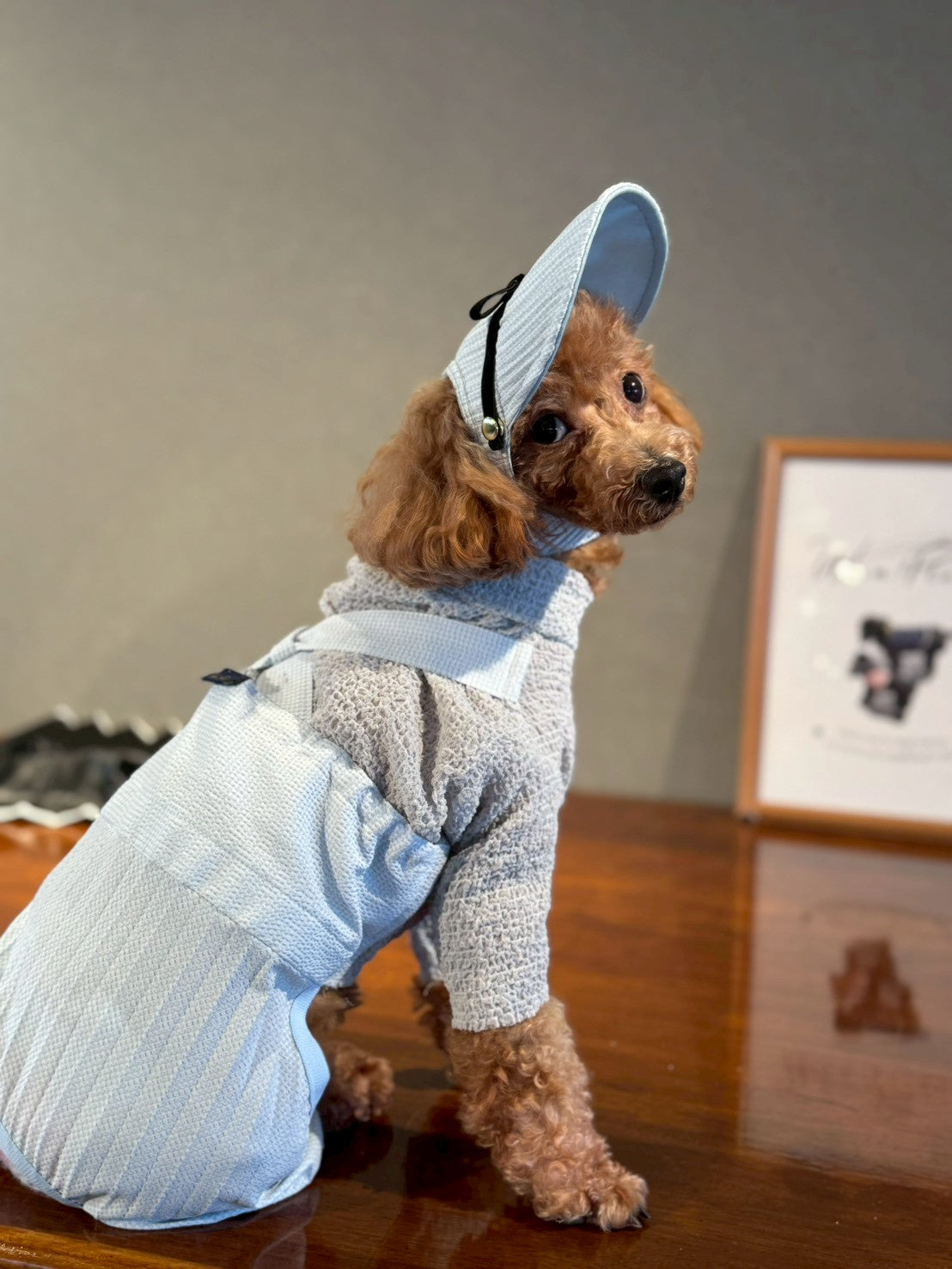 DOG WEAR - プリーツキャップ2