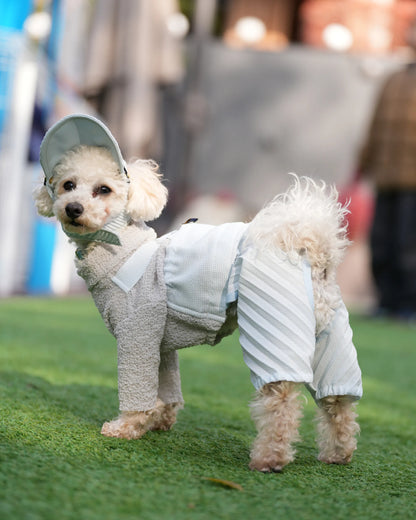 DOG WEAR - プリーツキャップ2