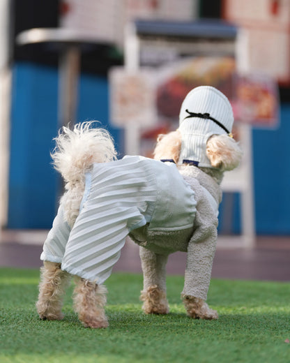 DOG WEAR - プリーツキャップ2