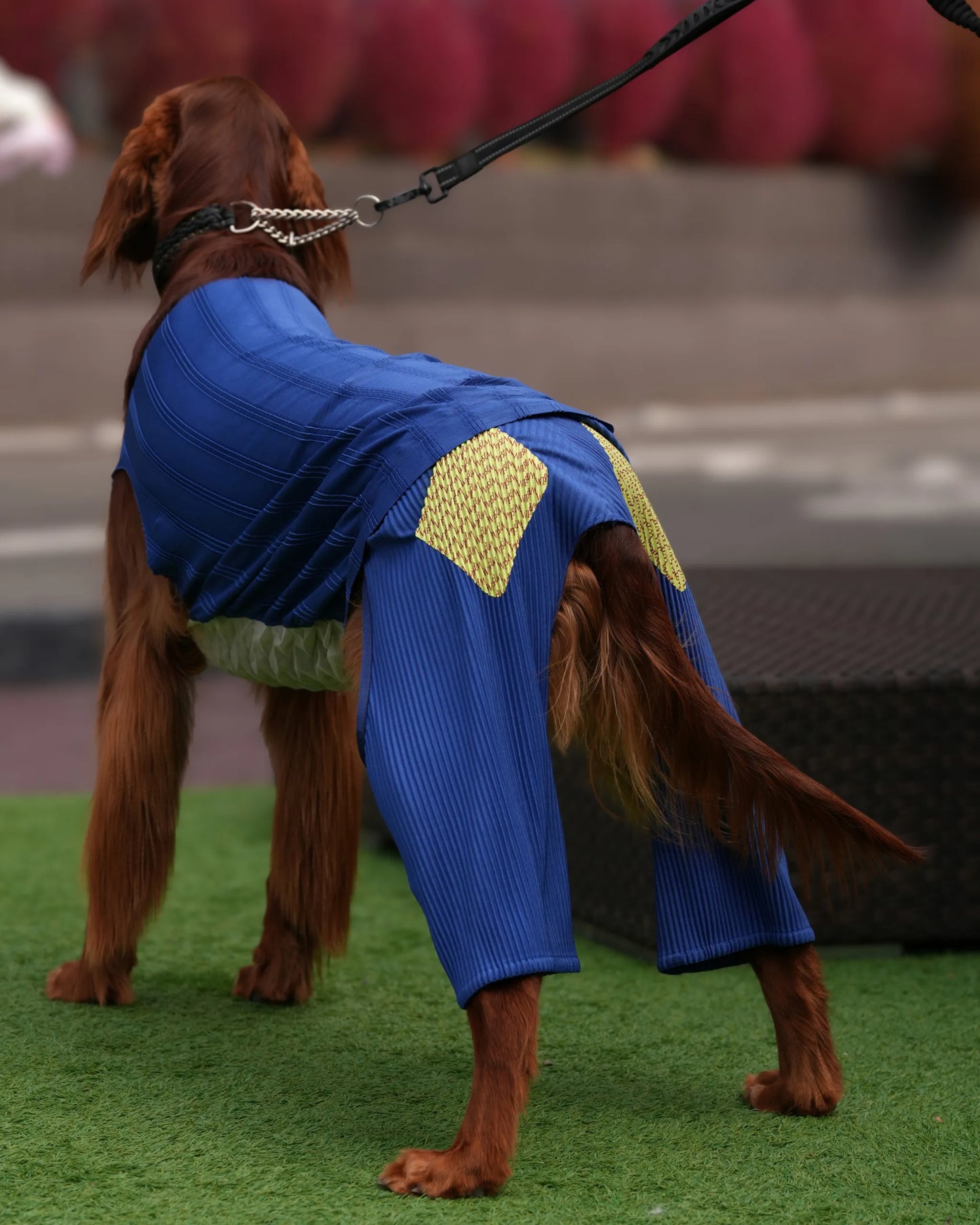 wanpleats(ワンプリーツ) 犬服 dogwear ドッグウェア 着せ替え お揃い パンツ 大型犬