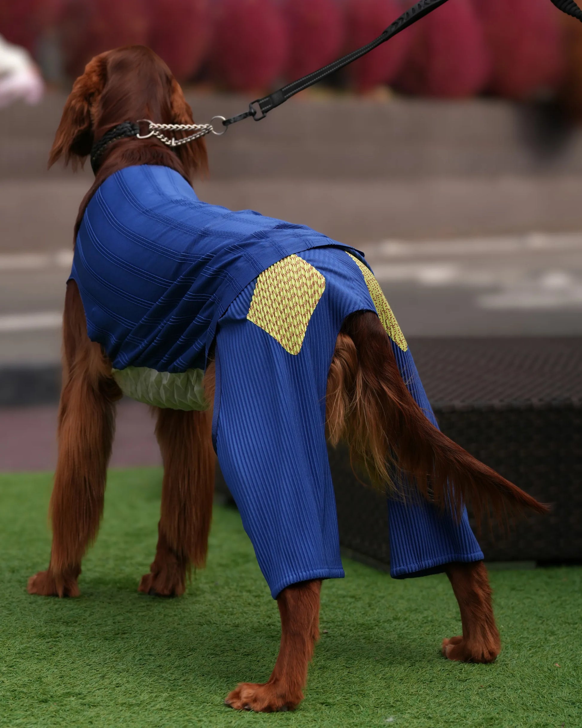 wanpleats(ワンプリーツ) 犬服 dogwear ドッグウェア 着せ替え お揃い パンツ 大型犬