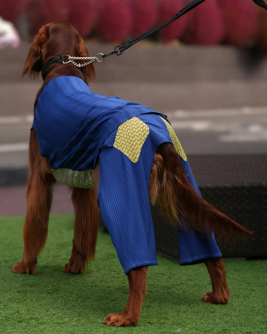 wanpleats(ワンプリーツ) 犬服 dogwear ドッグウェア 着せ替え お揃い パンツ 大型犬