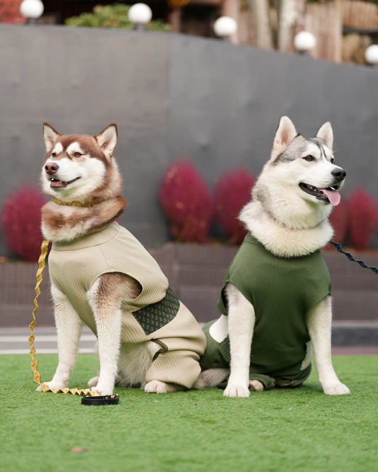 DOG WEAR - メッシュプリーツロンパース2