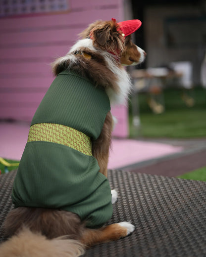 DOG WEAR - メッシュプリーツロンパース2