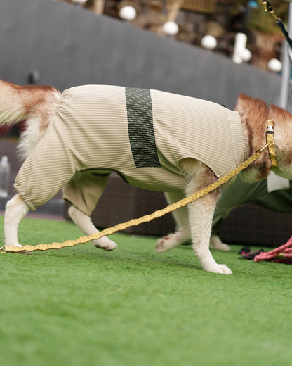 DOG WEAR - メッシュプリーツロンパース2