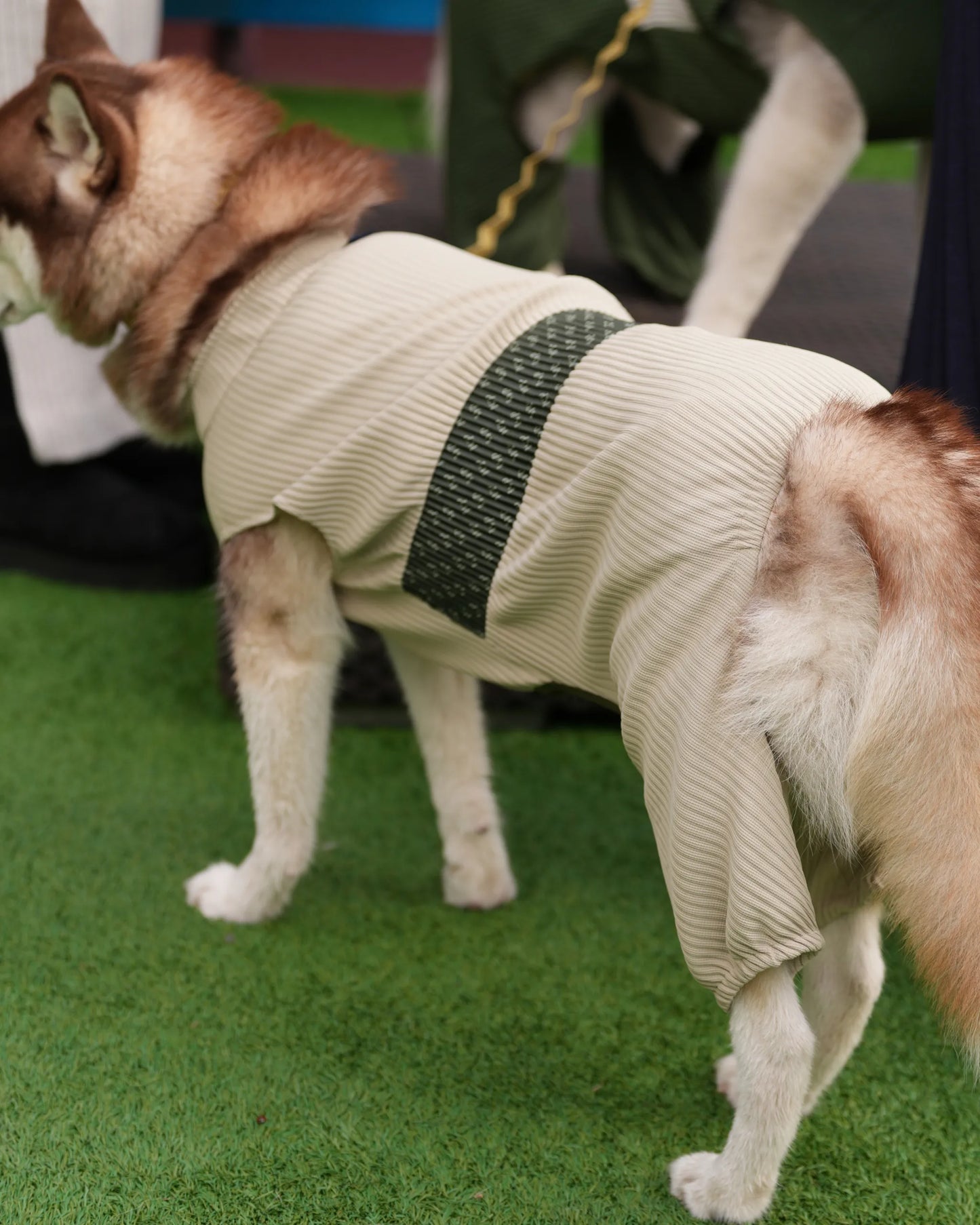 DOG WEAR - メッシュプリーツロンパース2