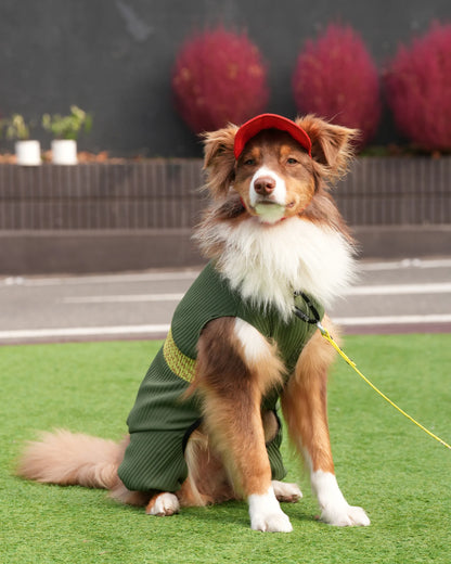DOG WEAR - メッシュプリーツロンパース2