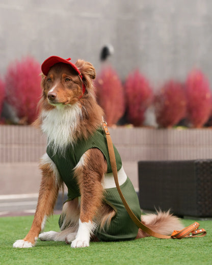 DOG WEAR - メッシュプリーツロンパース2