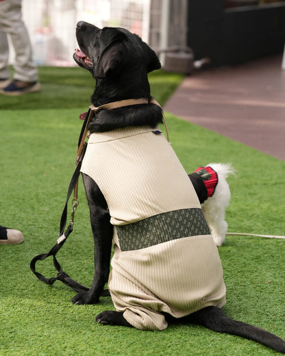 DOG WEAR - メッシュプリーツロンパース2