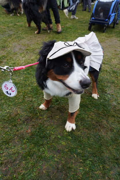 DOG WEAR - プリーツサロペットスカート