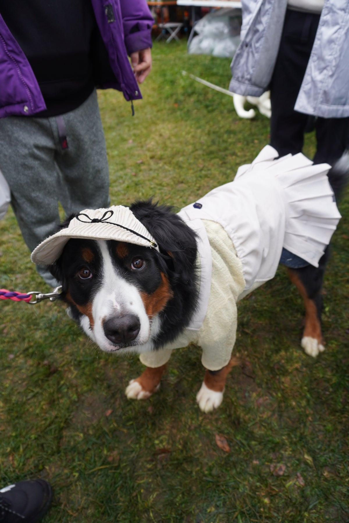 DOG WEAR - プリーツサロペットスカート