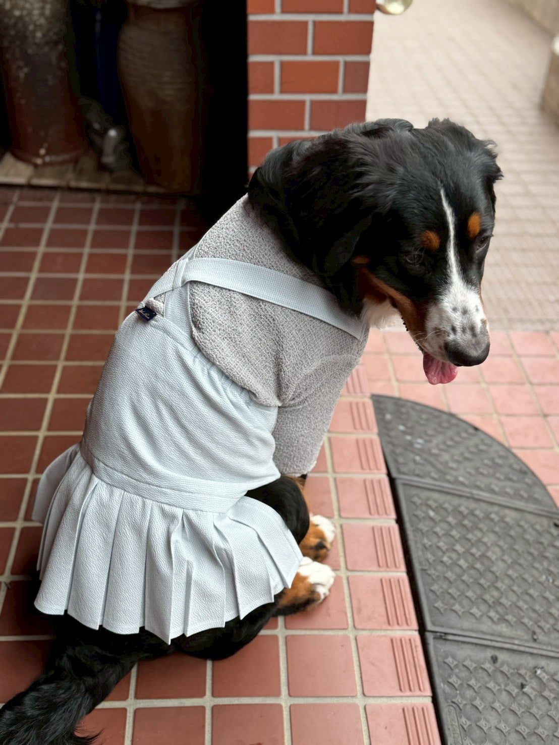 DOG WEAR - プリーツサロペットスカート