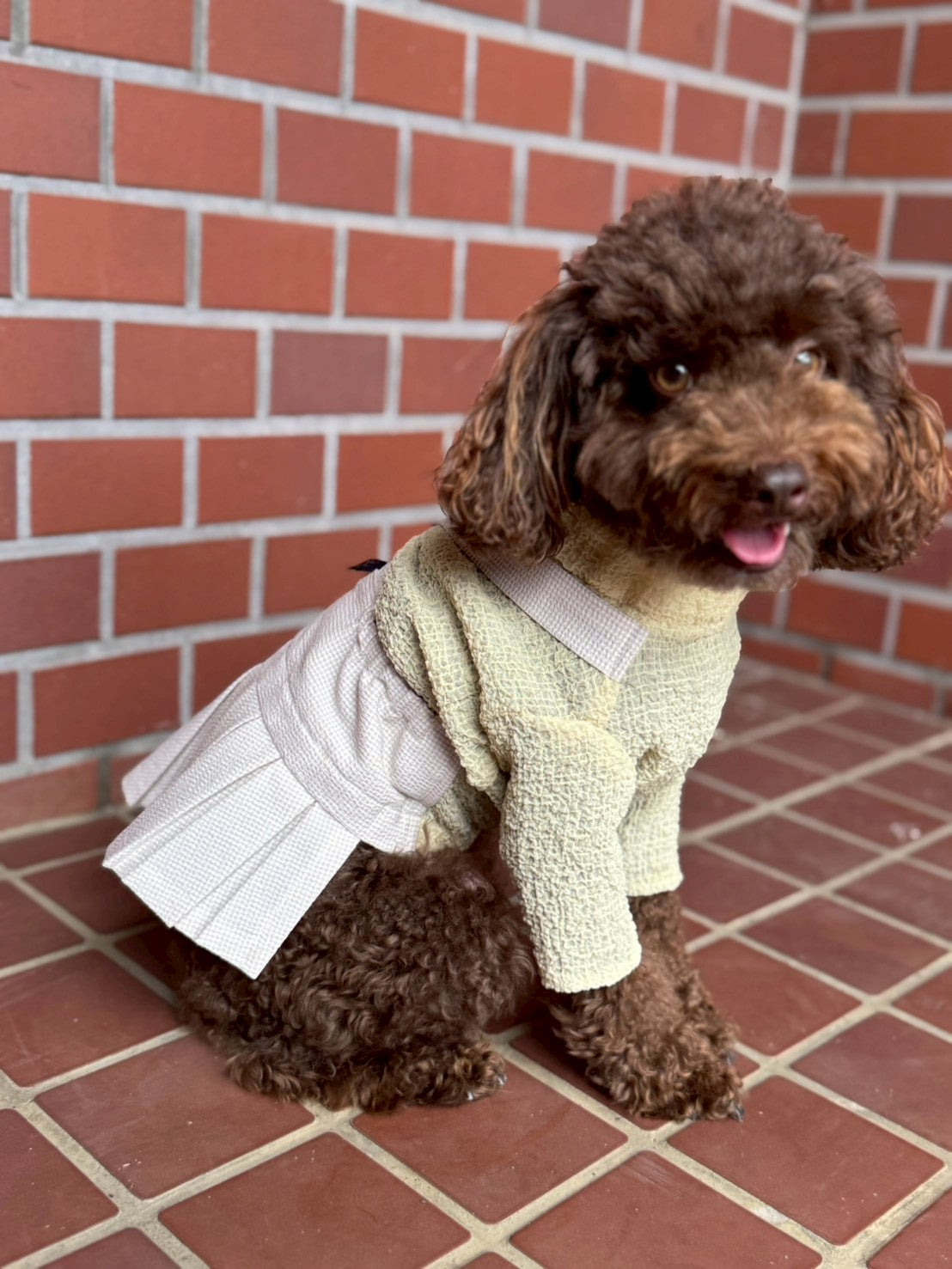 DOG WEAR - プリーツサロペットスカート