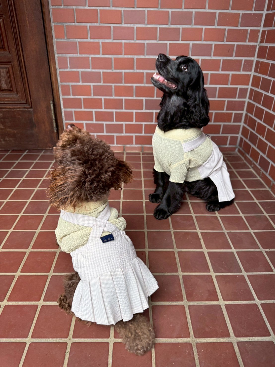 DOG WEAR - プリーツサロペットスカート