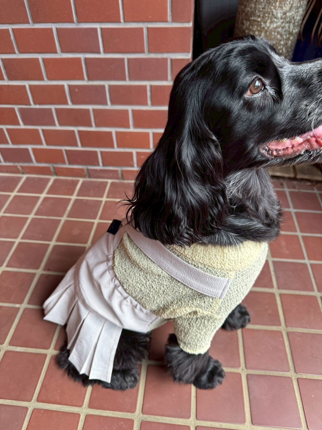 犬服 ドッグウェア プリーツサロペットスカート dog wear – Wan!Pleats