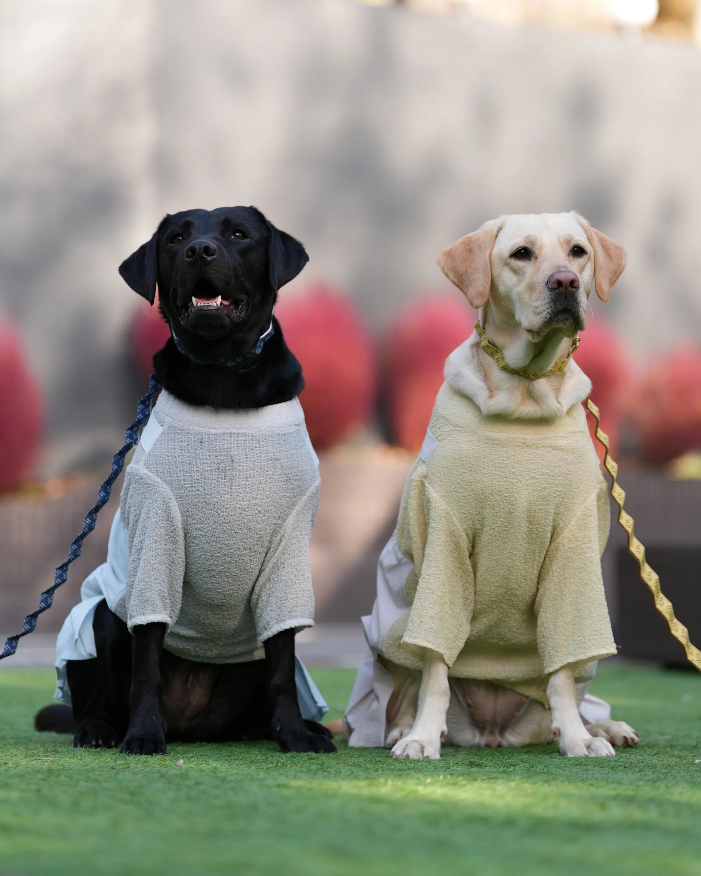 DOG WEAR - プリーツサロペットスカート