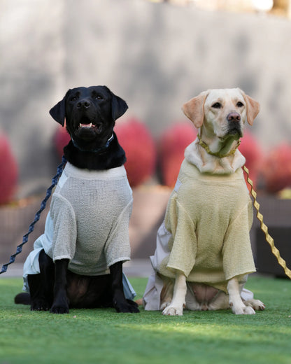 DOG WEAR - プリーツサロペットスカート