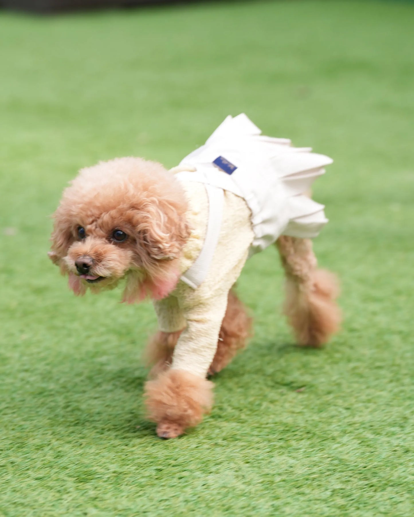 DOG WEAR - プリーツサロペットスカート