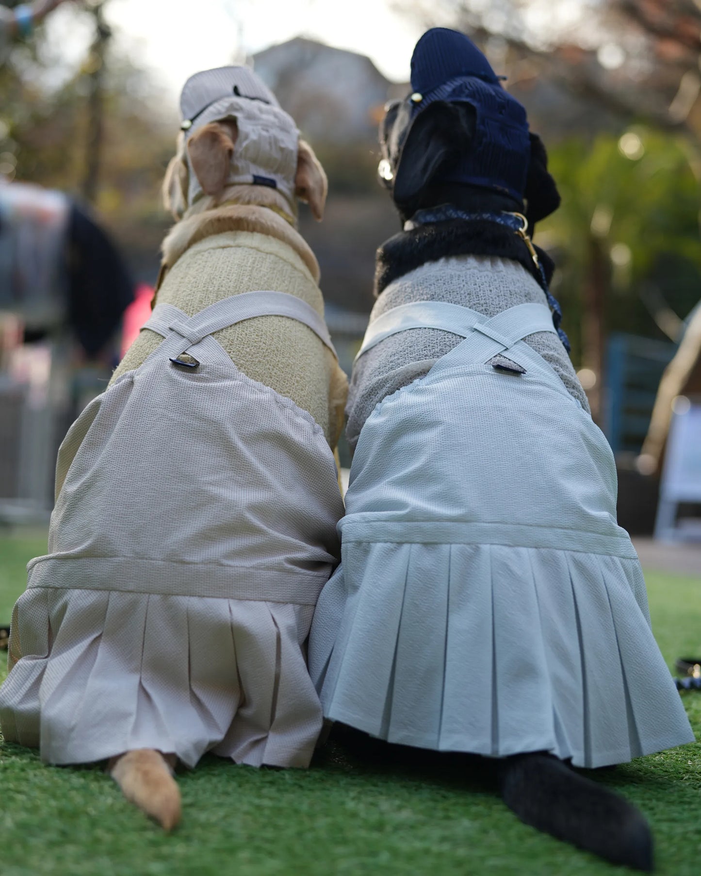 DOG WEAR - プリーツサロペットスカート