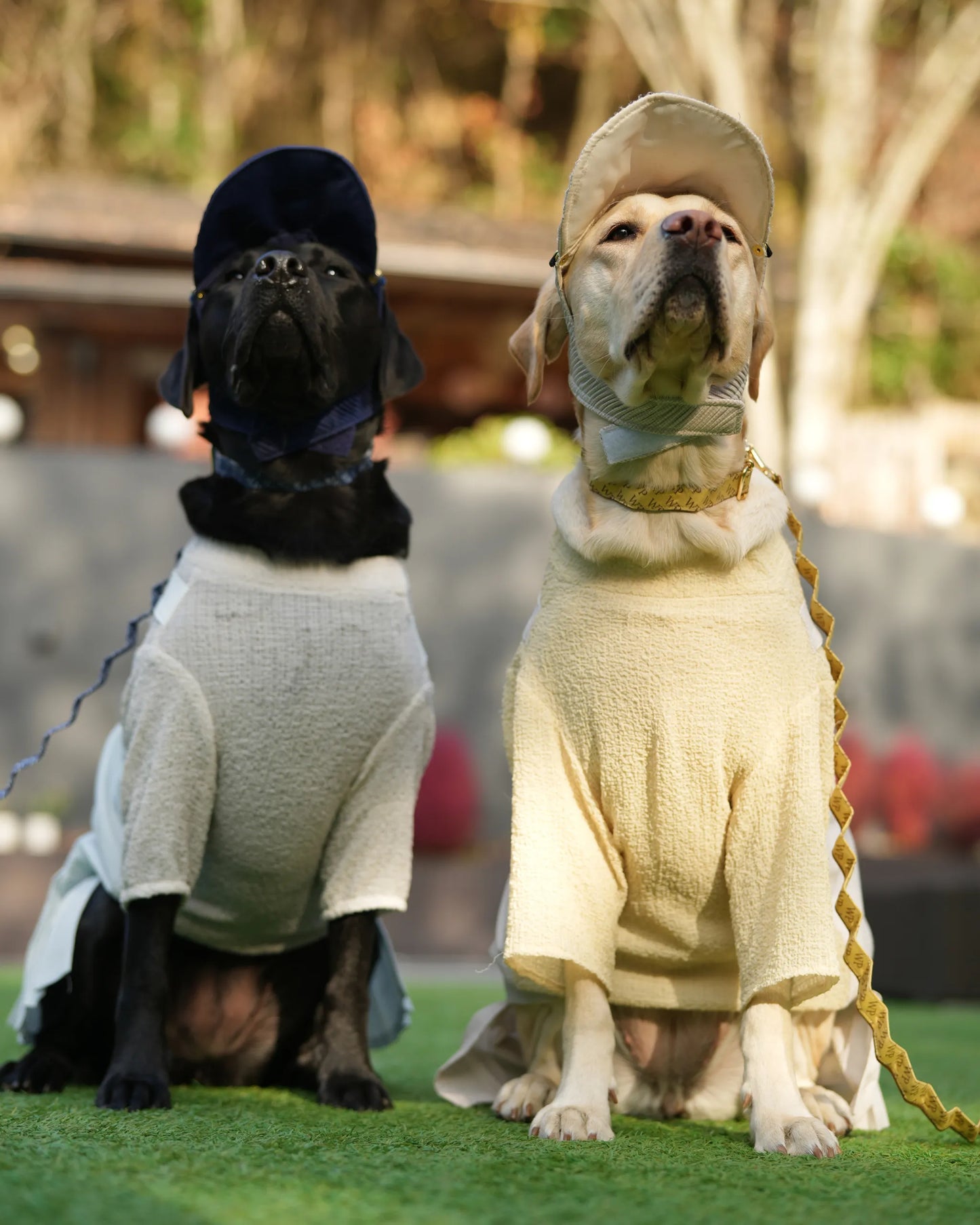 DOG WEAR - プリーツサロペットスカート